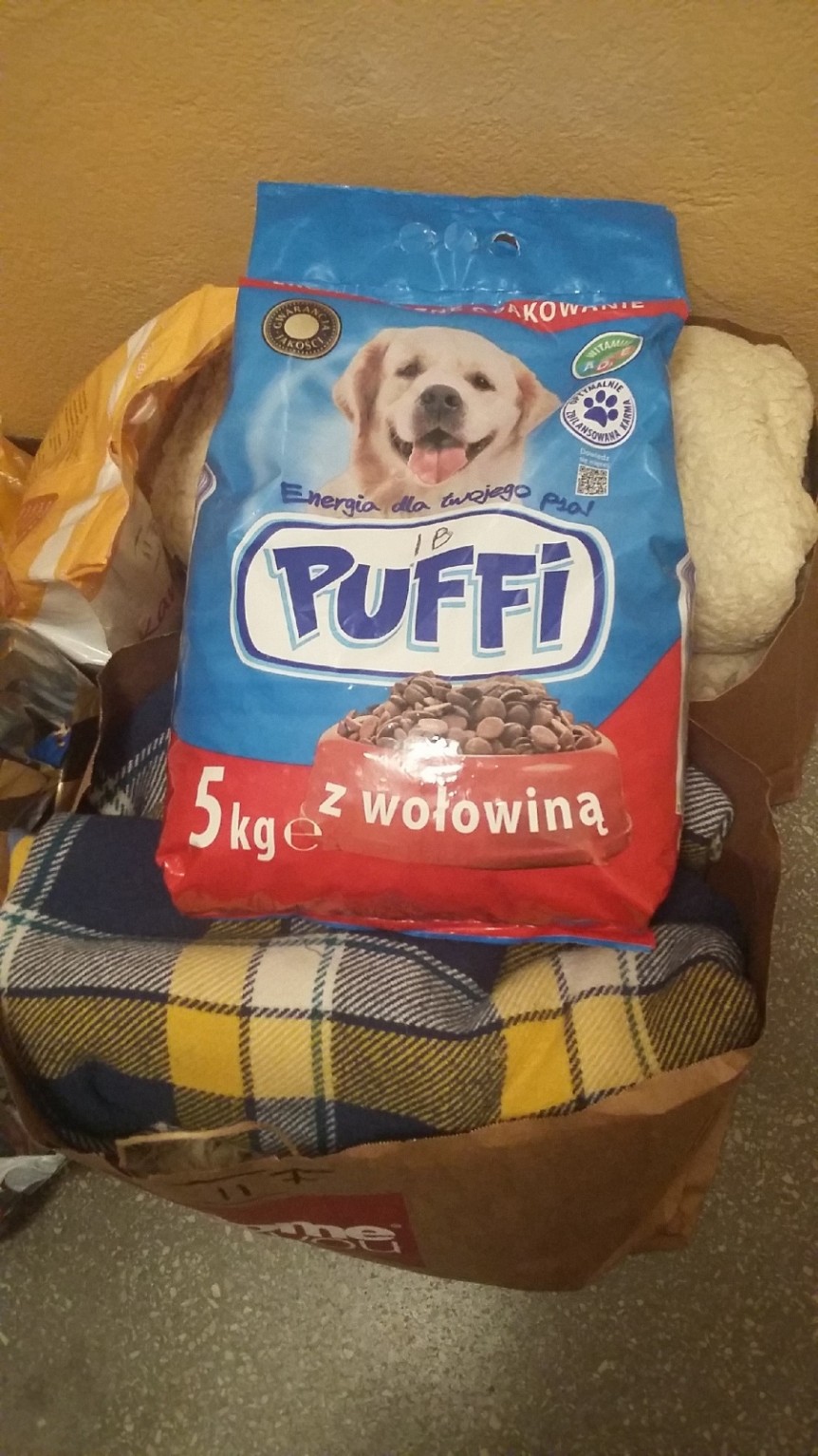 Pomoc dla Schroniska dla Bezdomnych Zwierząt