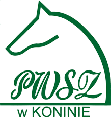 Prezentacja PWSZ