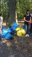 Sprzątanie Świata 2016 2