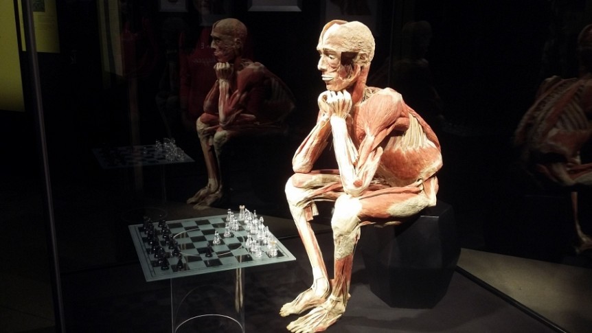 Body Worlds Vital