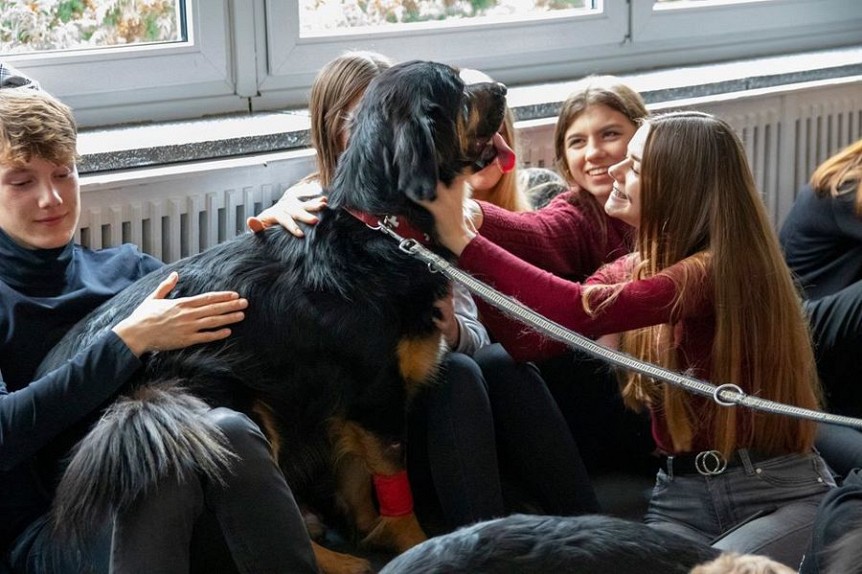 Wirtualna adopcja zwierząt
