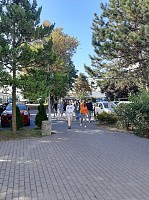 Sprzątanie Świata w II LO 6