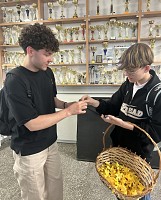 Akcja społeczno-edukacyjna "Żonkile" 3