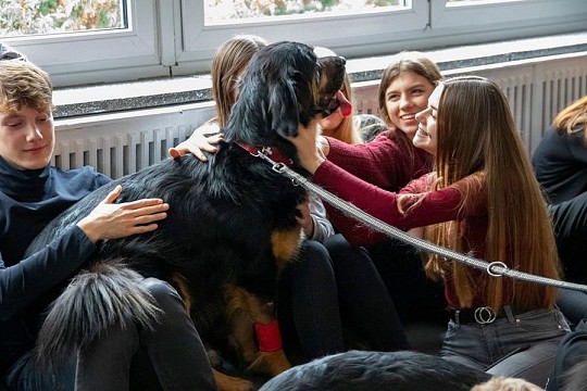 Wirtualna adopcja zwierząt