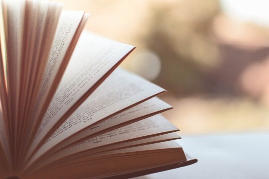 Międzynarodowy Dzień Języka Ojczystego